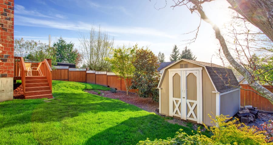 Fenced backyard with storage shed in Fort Collins